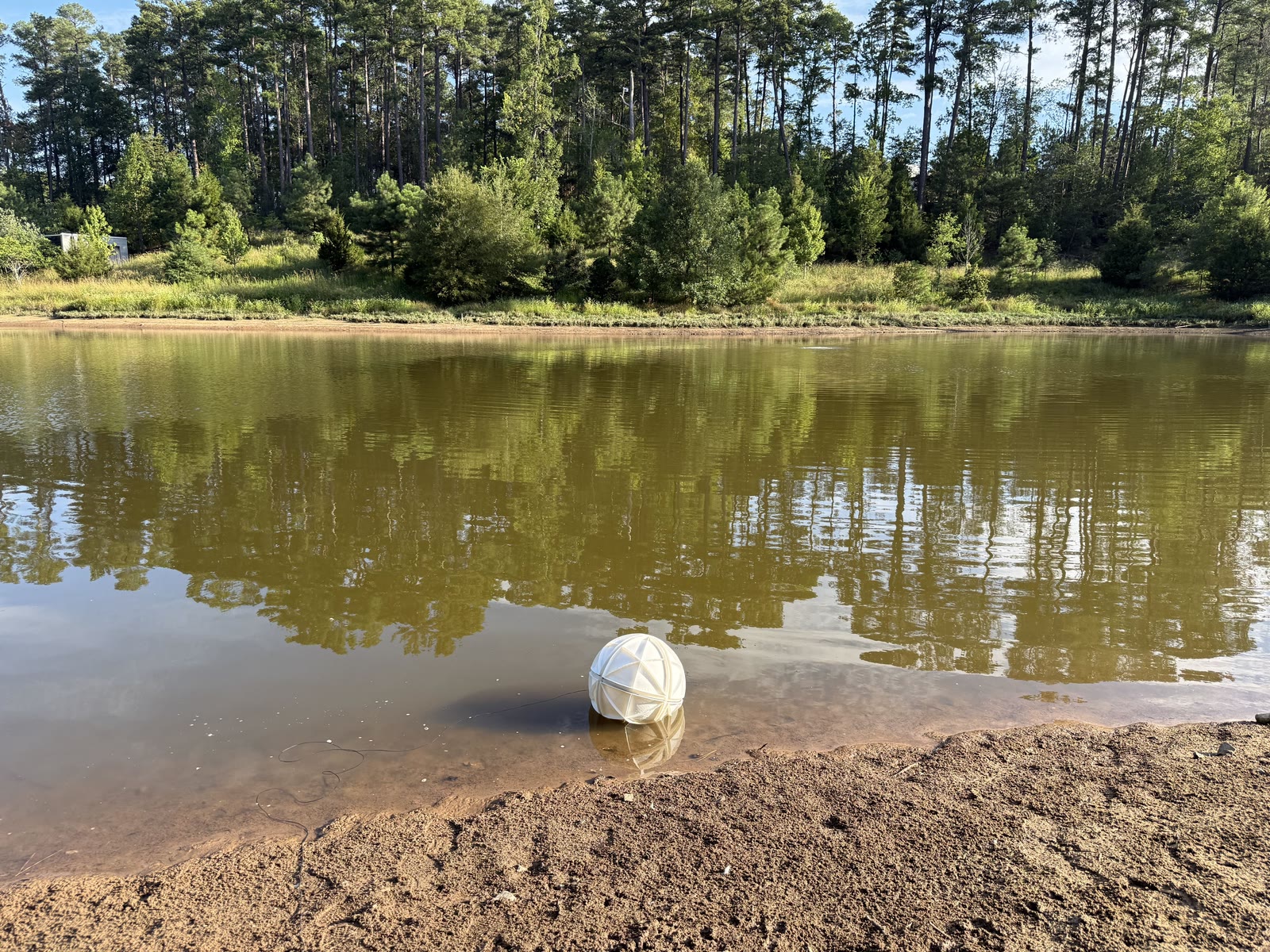 MARBLE at the edge of a pond during a land-water transition test