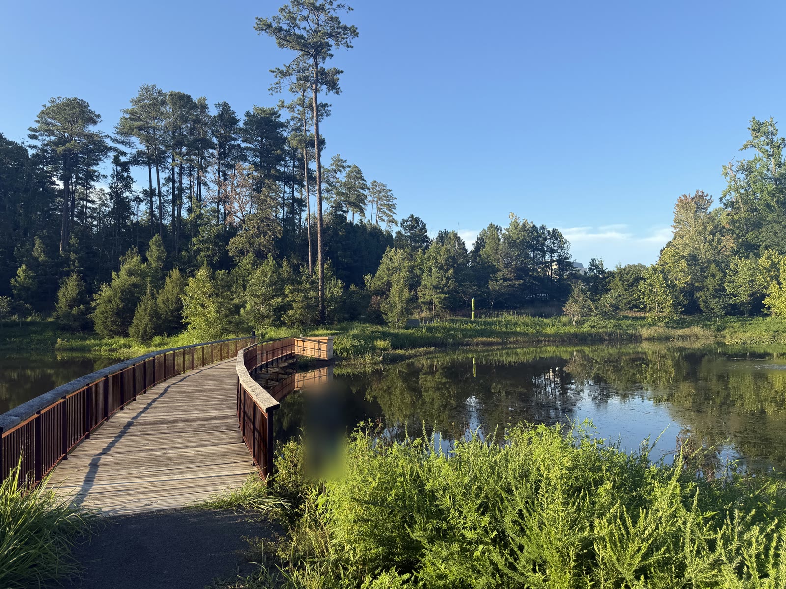 Pond and boardwalk at the testing location